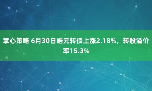 掌心策略 6月30日皓元转债上涨2.18%，转股溢价率15.3%