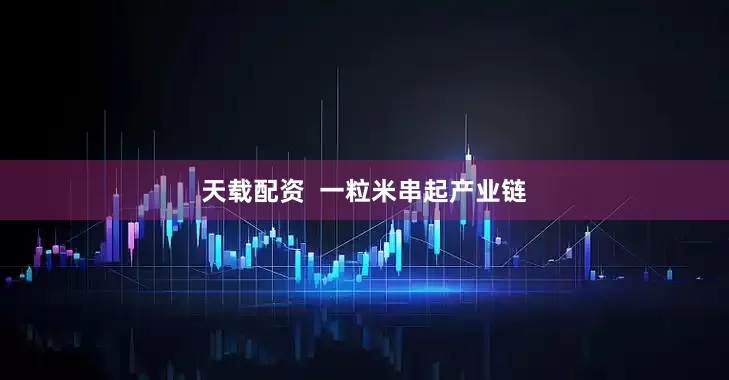 天载配资  一粒米串起产业链
