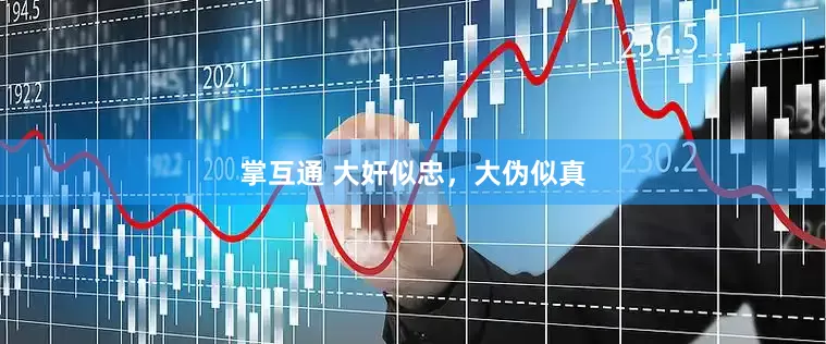 掌互通 大奸似忠，大伪似真