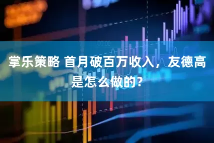掌乐策略 首月破百万收入，友德高是怎么做的？