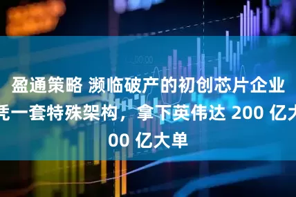 盈通策略 濒临破产的初创芯片企业,凭一套特殊架构,拿下英伟达 200 亿大单